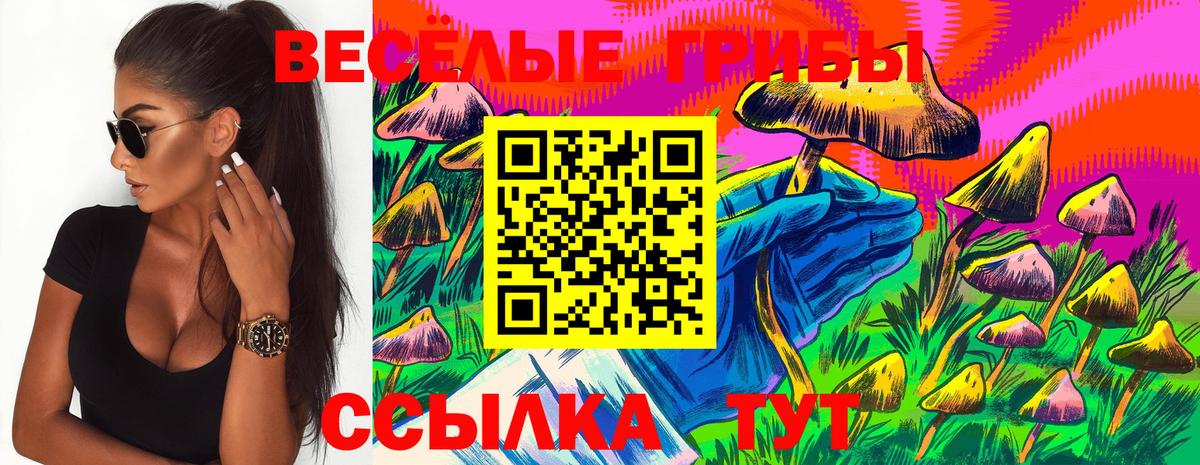 Псилоцибиновые грибы ЛСД Северобайкальск