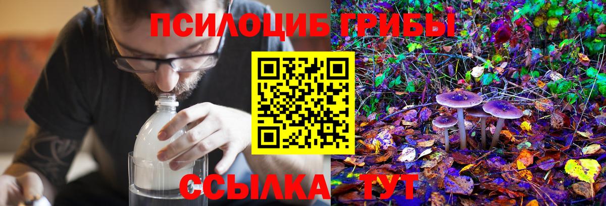 Северобайкальск  Галлюциногенные грибы мухоморы  Галлюциногенные грибы Cubensis  Вход с VPN 